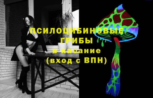 гидропоника Каменногорск