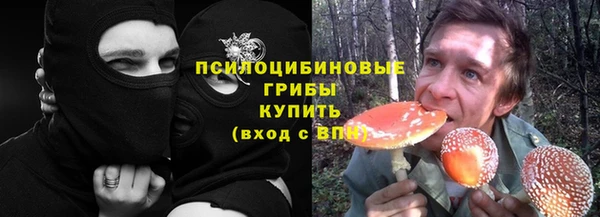гидропоника Каменногорск