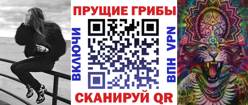 Псилоцибиновые грибы мицелий  Купить закладки  Камбарка 
